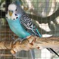 IMG_20191022_153354