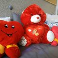 IMG_20200214_115212