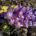 IMG_20200305_141536