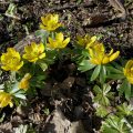IMG_20200305_141539