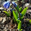IMG_20200305_141552