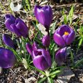 IMG_20200305_141607