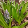 IMG_20200320_134143