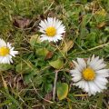 IMG_20200320_143517