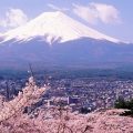 aa