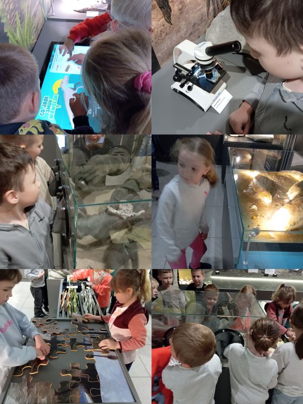 Wycieczka autokarowa,, Motylków’’ i ,,Biedronek’’ do Muzeum Paleontologicznego w Lisowicach.