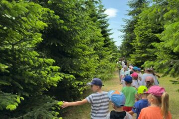 Wycieczka ,,Motylków’’ i ,,Sówek’’ do zagrody edukacyjnej ,, Stefanówka’’.