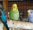 IMG_20190811_151405