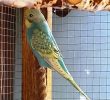 IMG_20190811_151937