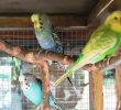 IMG_20191022_153511