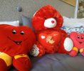 IMG_20200214_115212