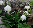 IMG_20200304_152204