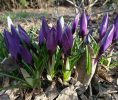 IMG_20200304_152238