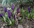 IMG_20200304_152251