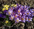 IMG_20200305_141536