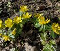 IMG_20200305_141539
