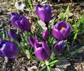 IMG_20200305_141607