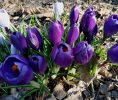 IMG_20200305_141619