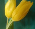 IMG_20200320_095756