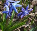 IMG_20200320_115530