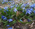 IMG_20200320_134008