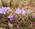 IMG_20200320_134035