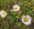 IMG_20200320_143517