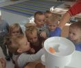 IMG_20201006_102425