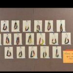 Wystawa z przyklejonych do kartek papieru pomalowanych korali z makaronu