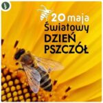Światowy Dzień Pszczoły w grupie „Motylki” - plakat