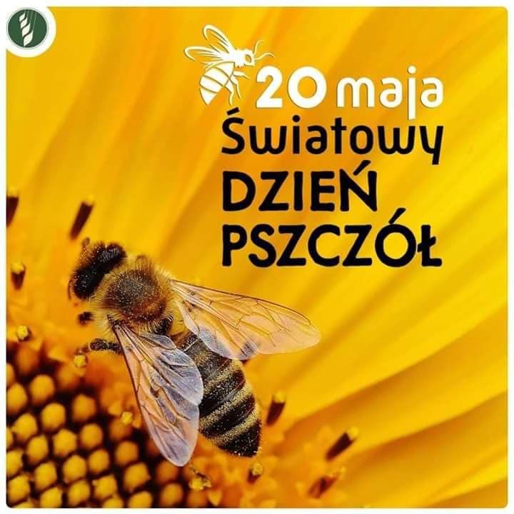 Światowy Dzień Pszczoły w grupie „Motylki” - plakat