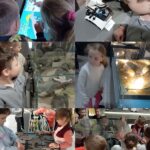 Wycieczka autokarowa „Motylków” i „Biedronek” do Muzeum Paleontologicznego w Lisowicach - kolaż zdjęć