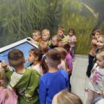 Wycieczka autokarowa „Motylków” i „Biedronek” do Muzeum Paleontologicznego w Lisowicach