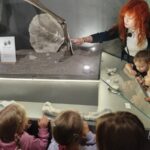 Wycieczka autokarowa „Motylków” i „Biedronek” do Muzeum Paleontologicznego w Lisowicach