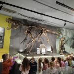 Wycieczka autokarowa „Motylków” i „Biedronek” do Muzeum Paleontologicznego w Lisowicach