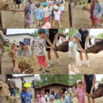 Wycieczka „Motylków” i „Sówek” do zagrody edukacyjnej „Stefanówka”