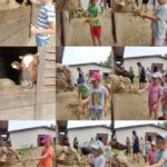 Wycieczka „Motylków” i „Sówek” do zagrody edukacyjnej „Stefanówka”