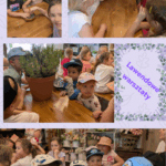 Wycieczka „Motylków” i „Sówek” do zagrody edukacyjnej „Stefanówka”