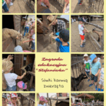 Wycieczka „Motylków” i „Sówek” do zagrody edukacyjnej „Stefanówka”