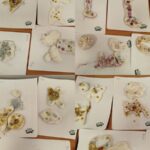 Zajęcia z porcelanową masą sensoryczną