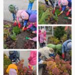 Święto drzewa u Sówek