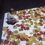 dni otwarte w słonecznej chatce