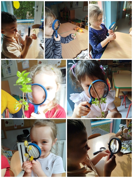 PROJEKT EDUKACYJNY WIOSNA WOKÓŁ NAS W GRUPIE MOTYLKÓW