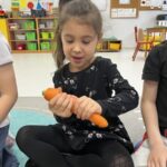 dzien marchewki w motylkach