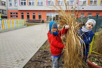 wiosenne porządki w ogrodzie Motylków